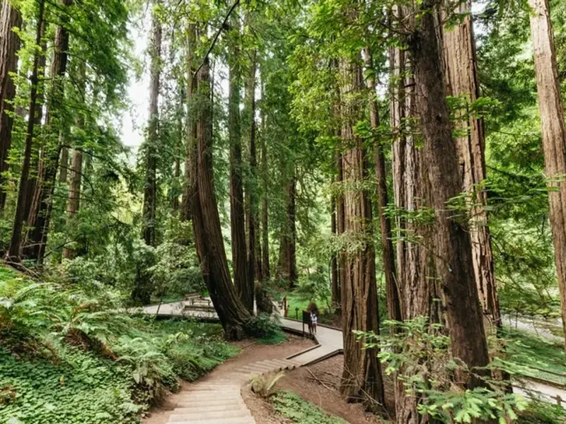San Francisco